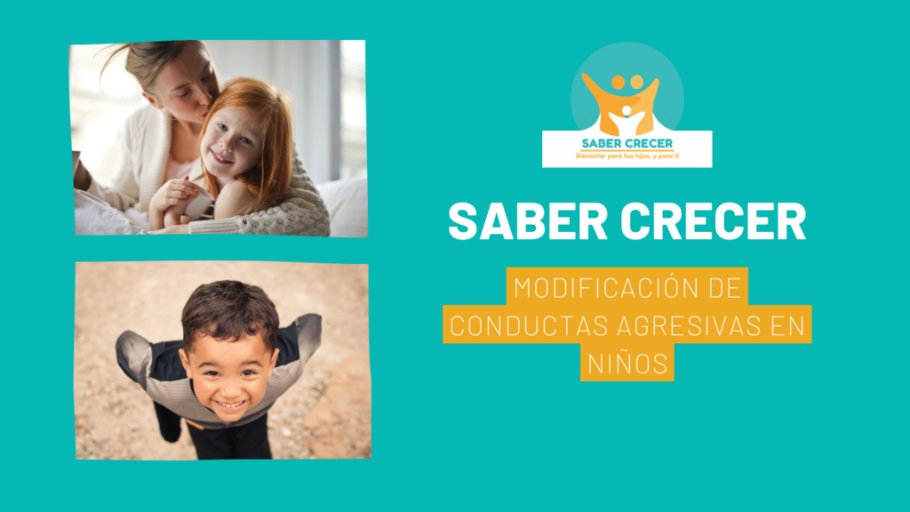 Modificación de conductas agresivas en niños